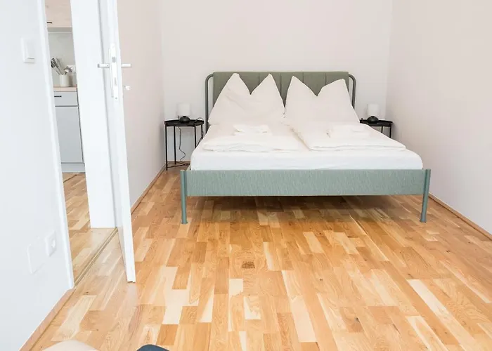 Comfort Daire Viyana