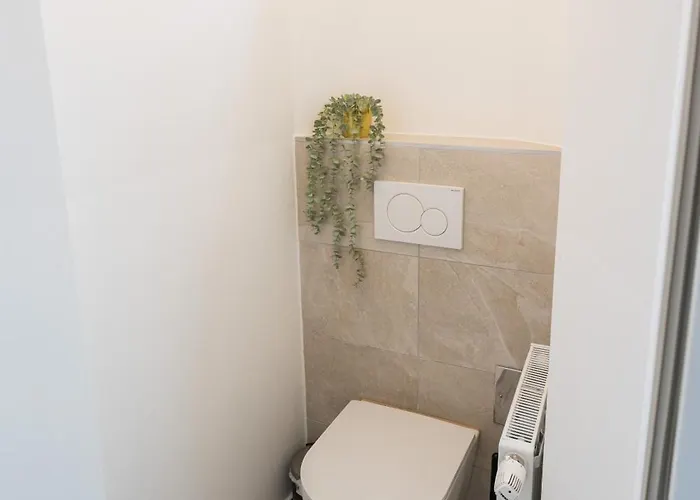Comfort Daire Viyana